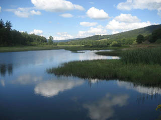 Oberer Bayerischer Wald