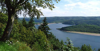 Deutsch-Belgischer Naturpark Hohes Venn-Eifel