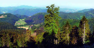 Schwarzwald Mitte/ Nord